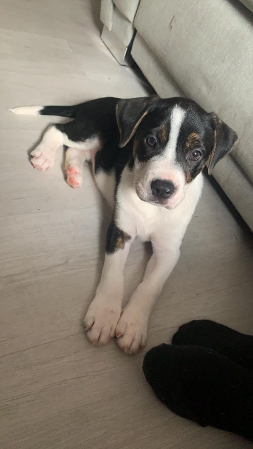 Newest community member 